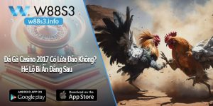 Đá Gà Casino 2017 Có Lừa Đảo Không? Hé Lộ Bí Ẩn Đằng Sau